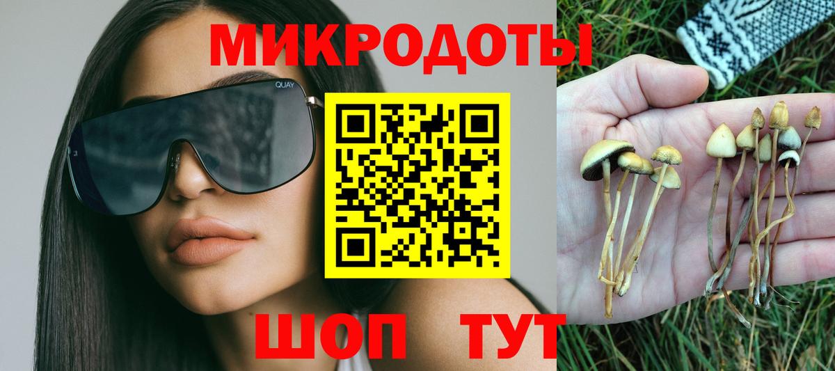 Сочи  Псилоцибиновые грибы прущие грибы  Вход с VPN 